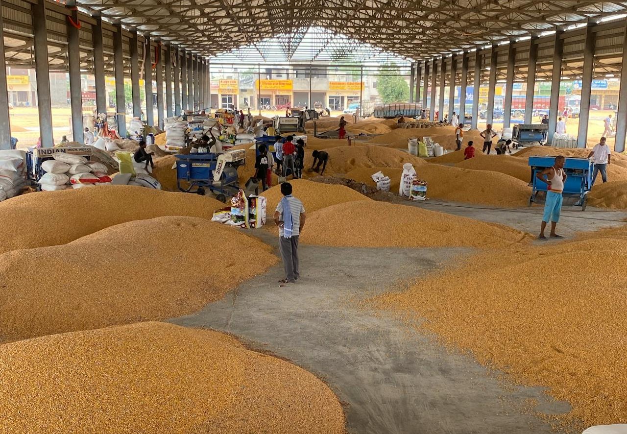 Commodity Management Services by StarAgri: Securing Agri Value for Today and Tomorrow