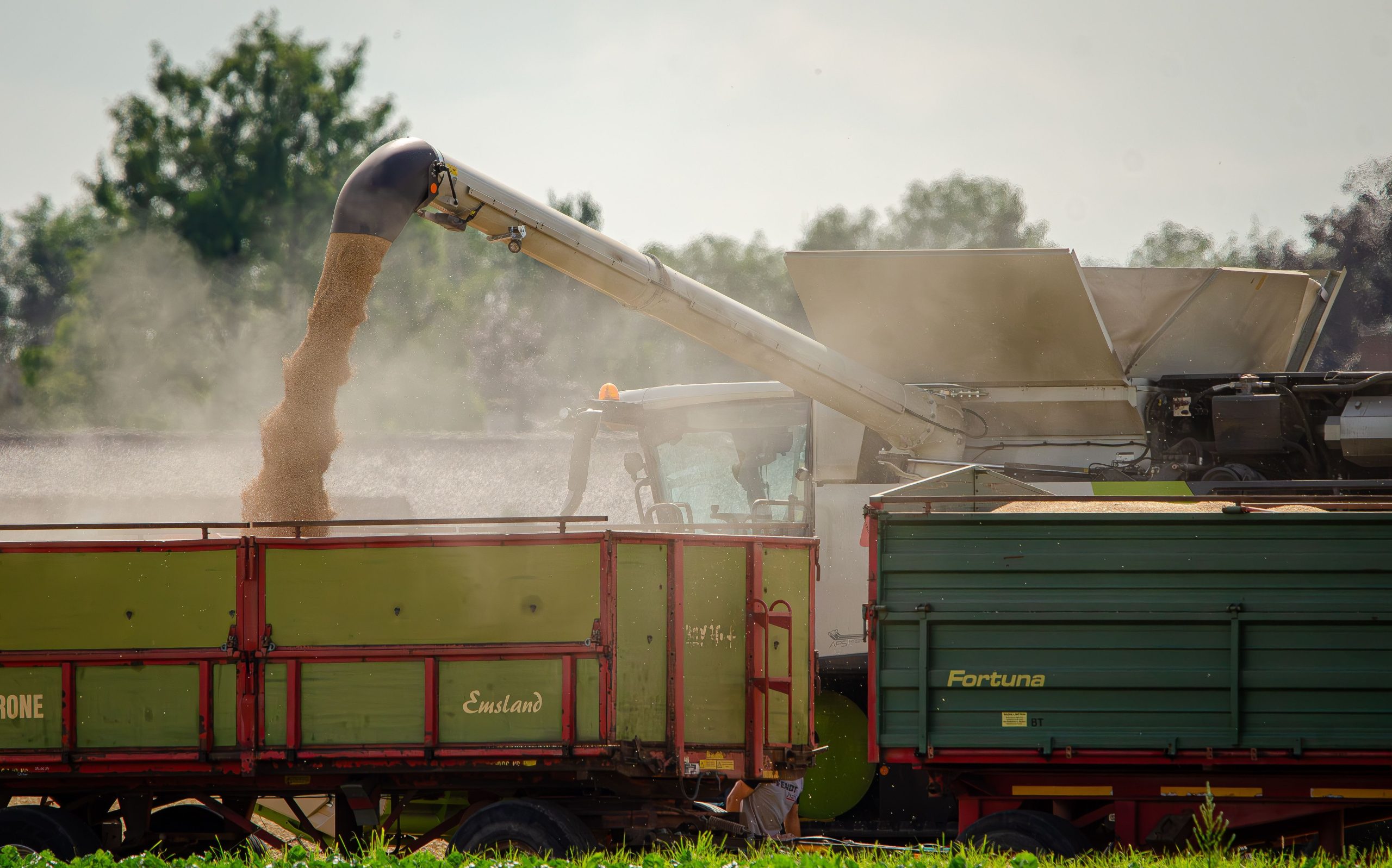 Agricultural Procurement : Process, Benefits, Challenges & Best Practices
